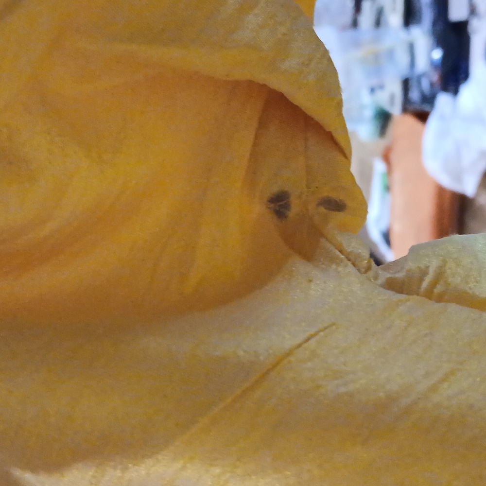 Bright Yellow Button-Up Jacket - Picture 3 of 5
